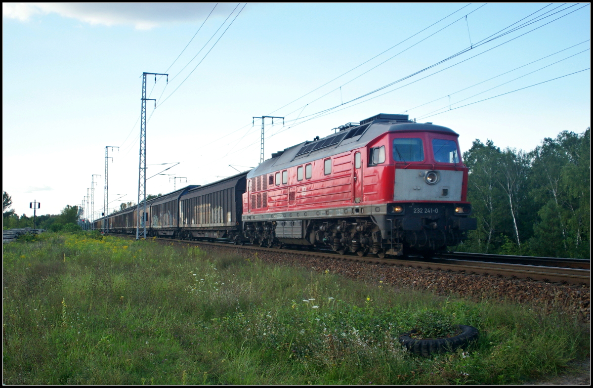 DB Cargo 232 241-0 fuhr mit Schiebewandwagen, an dessen Ende noch ein Eaos-x angehängt war, am 23.08.2017 durch die Berliner Wuhlheide