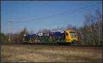 ODEG VT 650.65 / 650 065  Wald-Solar-Heim Express  nach Bln.-Lichtenberg (gesehen Berlin Wuhlheide 24.03.2012)