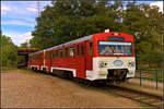 Als Pendelzug zum Magdeburger Hafen und anderen Zielen war der angereiste VT 2.35 / 133 235-1 der Ascherslebener Verkehrsgesellschaft unterwegs.