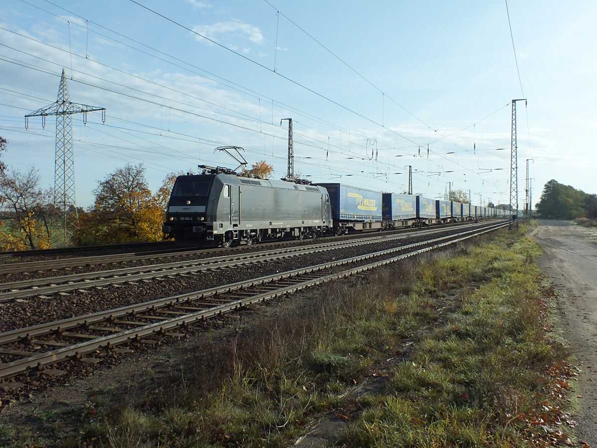 Die MRCE-185 564 durchfhrt hier am 22.10.13 den Bahnhof Saarmund sdlich von Berlin.