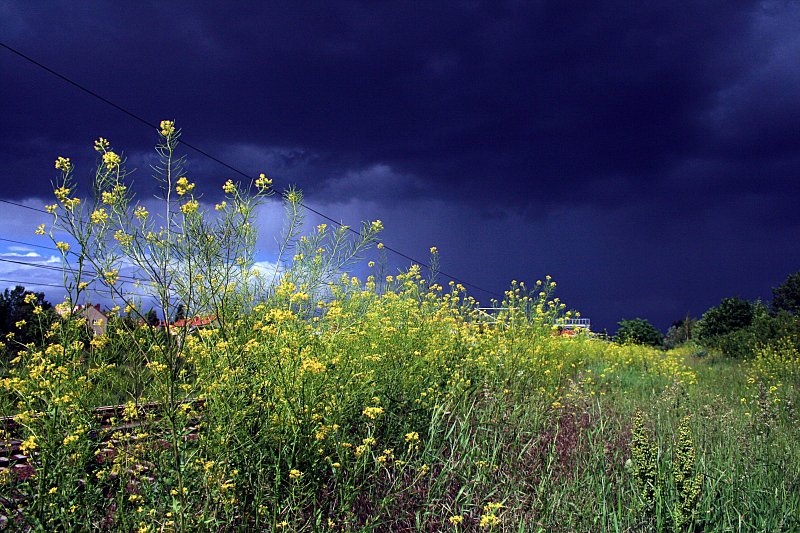 Einfach einmal um zu zeigen wie die Wetterverhltnisse sind. Die Farben sind per Weiabgleich leicht verflscht um die Unterschiede zu zeigen (Berlin Bornholmer Str, 03.06.2009).