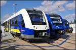 Zweimal Coradia LINT 54: Links erixx 622 208-6 fr den Betrieb auf einigen Regio-Linien in Niedersachsen (NVR-Nummer 95 80 0622 208-6 D-LNVG), daneben schaut vlexx 622 414 in die Sonne.