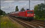 DB Regio 112 116 mit dem RE3 Elsterwerda am 11.08.2014 durch Berlin-Karow