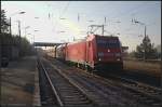 Aus dem Gegenlicht kommt am 29.01.2011 DB Schenker 185 213-6 in Traktion mit 185 013-0 und einem Erzzug durch Friedrichsfelde-Genshagener Heide in Richtung Glasower Damm