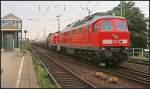 DB Schenker 233 217-9 mit Wagenlok 294 603-6 und gemischtem Güterzug (gesehen Magdeburg Neustadt 09.08.2010)