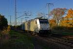 Durch die tiefstehende Sonne haben die Schatten der B�ume auf dem ehemaligen Rangierbahnhof Berlin-Wuhlheide bereits die Gleise des G�terau�enrings erreicht, als die Railpool-Lok 186 437 solo in