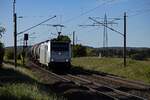 An der Spitze eines Kesselwagenzuges legt sich am Nachmittag des 24.09.25 die 186 539 von Railpool in die Kurve.