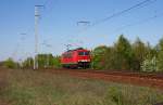 Ganz alleine wurde 155 019-3 auf den Chip gebannt (Berlin Wuhlheide, 20.04.2009).