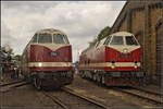 Bei dichter Bewlkung standen die beiden Grodiesel BUNA 204 / 228 501 und DLFB 119 158 / 219 158 whrend des 15. Berliner Eisenbahnfest am 15.09.2018 am Lokschuppen im Betriebsbahnhof Schneweide nebeneinander.